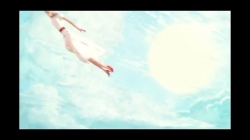 کتاب های پرنده